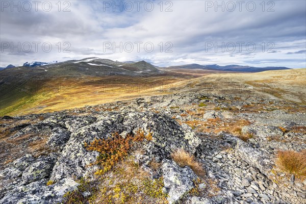 Autumn fell landscape