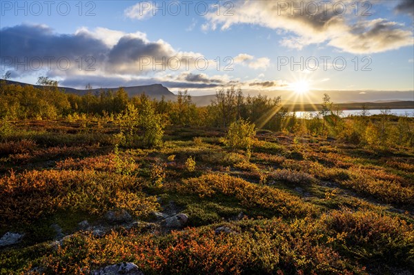 Autumn fell landscape