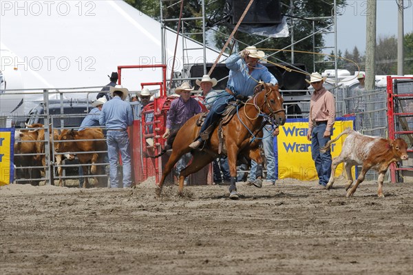 Rodeo competition