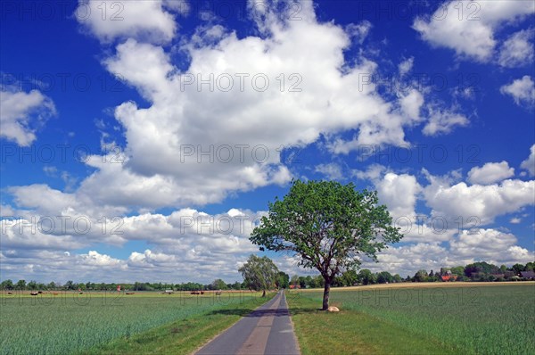 Field path