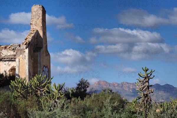 Ruin surrounded by cacti with a view of Mount Aguilon