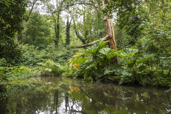 Floodplain landscape of the Erft