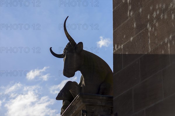 Sculpture of the ox on the portal from 1599