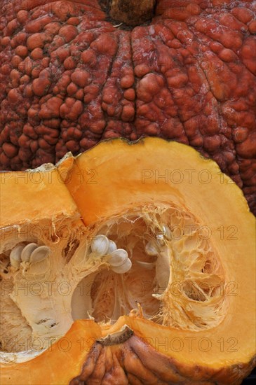 Sliced pumpkin Deaflora with skin