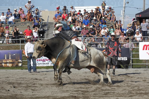 Rodeo competition