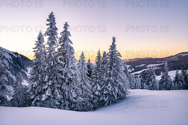 Snow-covered winter landscape on the Gurnigel Pass