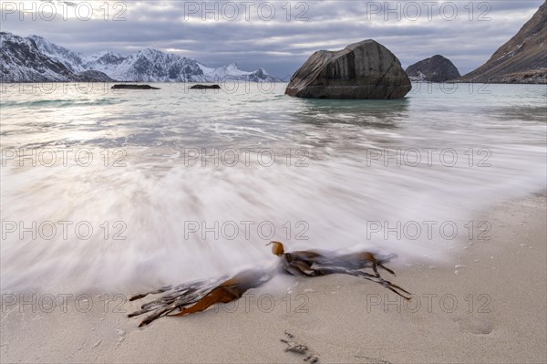 Winter Scandinavian landscape