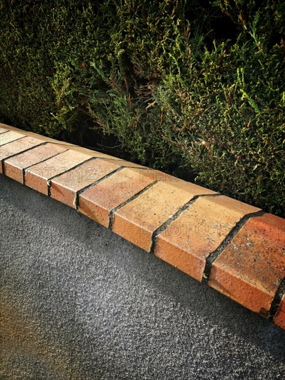 Garden wall and hedge. France