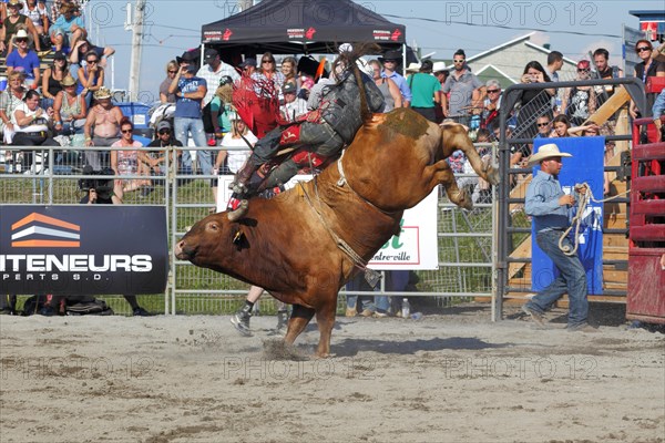 Rodeo competition