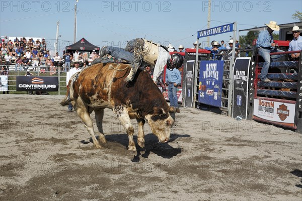 Rodeo competition