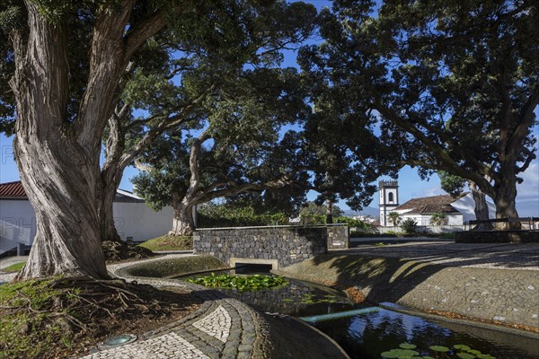 Park at the Church of Nossa Senhora da Estrela with Town Hall Tower and Ironwood Trees