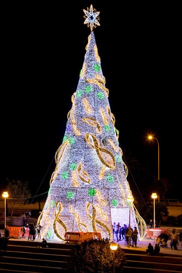 Illuminated Christmas tree