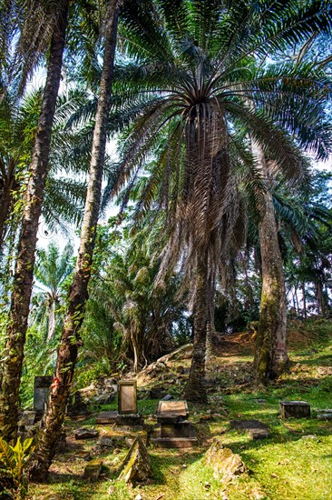 Historic Bel Air Cemetery