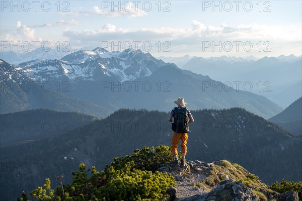 Hiker on hiking trail with mountain pines