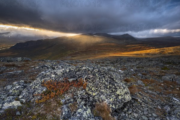 Autumn fell landscape