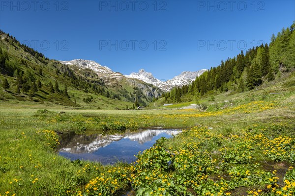 Alpine pasture in the Riedingtal nature Park