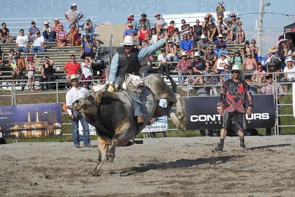 Rodeo competition