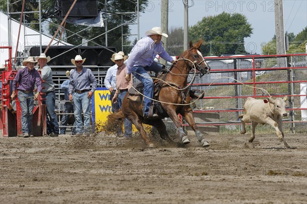 Rodeo competition