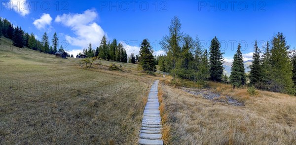 Single Trail at the Rescheralm