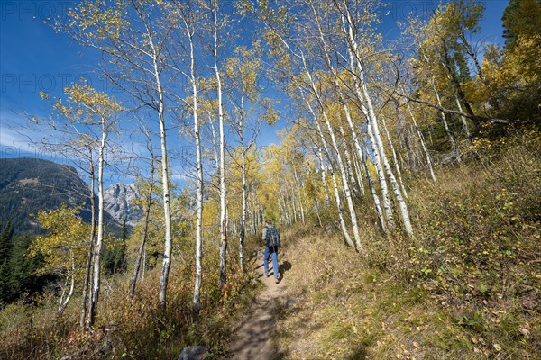 Young man on the hiking trail to Taggart Lake