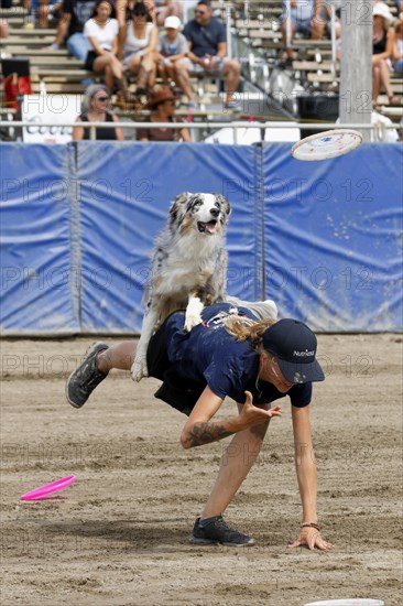 Flying dogs