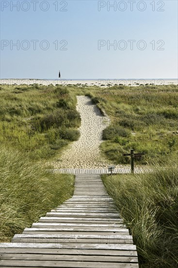 Boardwalk in the dunes near Wittduen