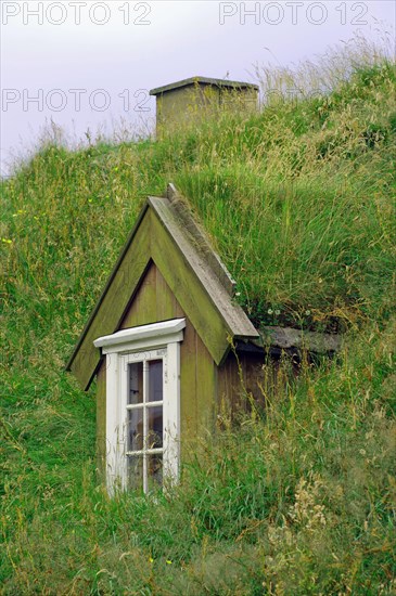 Wooden windows in a roof made of thick grass