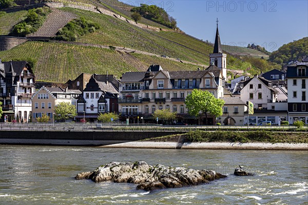 Houses and churches on the Rhine in Assmannshausen