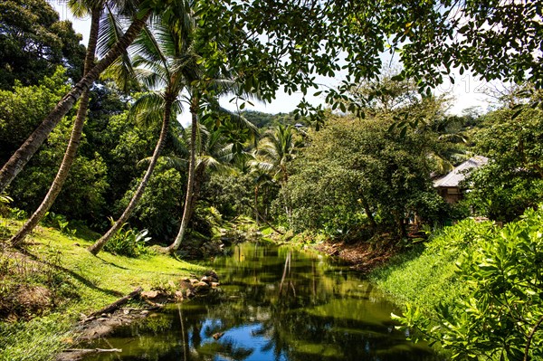 Brackish water behind Petite Anse