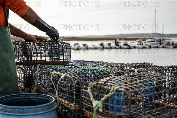 Fisherman puts crab inside octopus traps in Alvor
