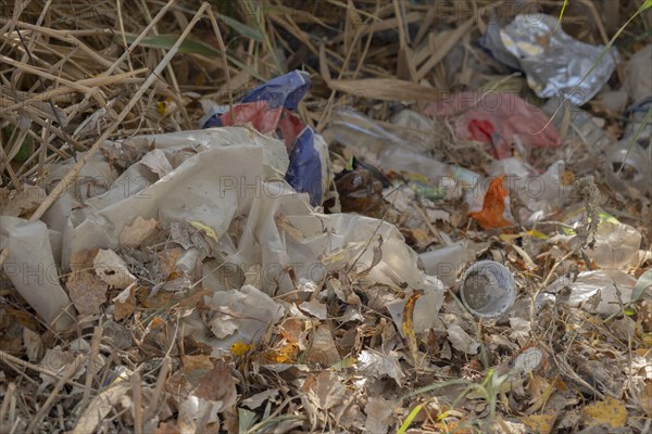 Discarded plastic bottles and other garbage in a meadow in the shore zone. Ermakov island