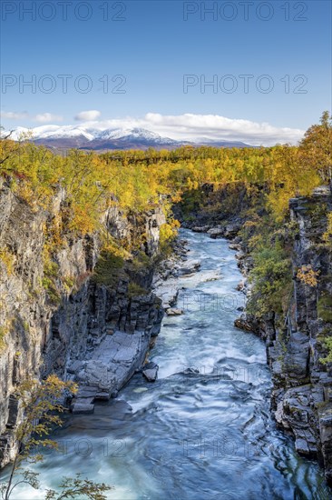 Autumn Abisko Canyon