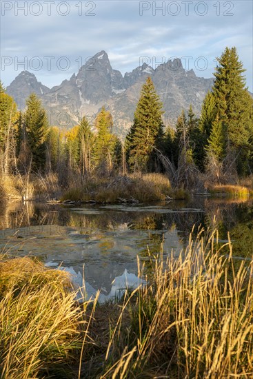 Autumn landscape with Grand Teton Range mountains