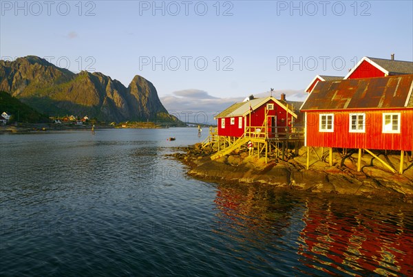 Red wooden huts on the shore of a fjord in the evening light