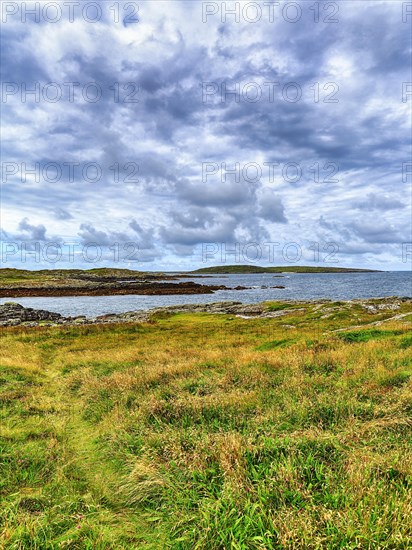 Coastal landscape with meadows