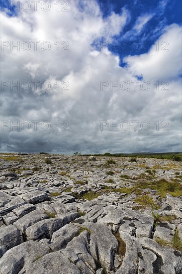 Bizarrely shaped limestone slabs on the hillside