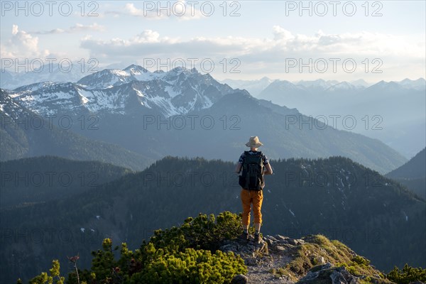 Hiker on hiking trail with mountain pines