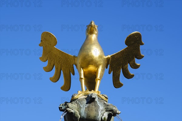 Eagle on the market fountain
