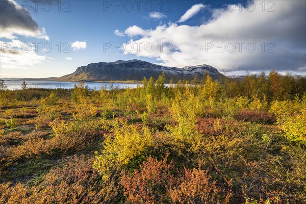 Autumn fell landscape