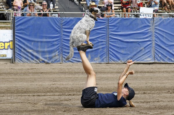 Flying dogs