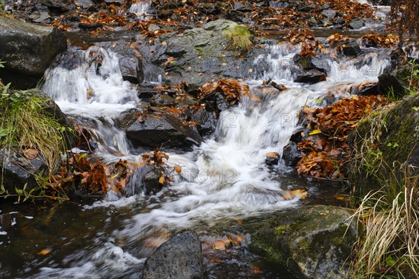 Radau waterfall in autumn