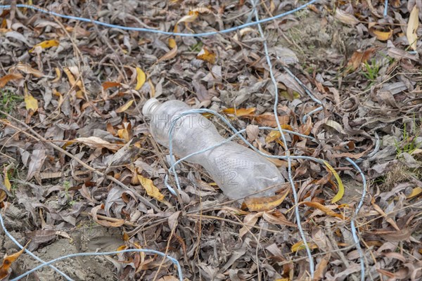 Discarded plastic bottles in a meadow in the shore zone. Ermakov island