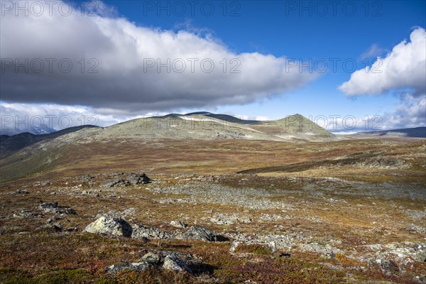 Autumn fell landscape