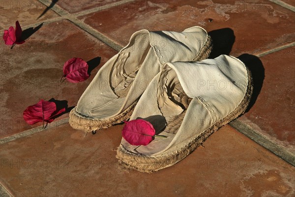 Down trodden espandrillos with leaves of a bougainvilea