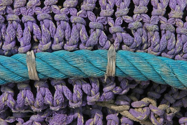 Green rope on purple fishing net