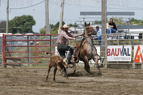 Rodeo competition