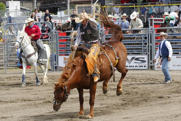 Rodeo competition