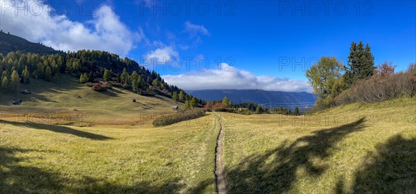 Single Trail at the Rescheralm