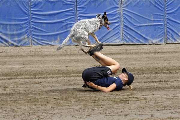 Flying dogs