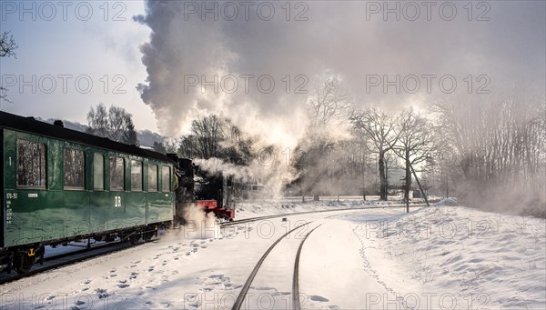 The historic railway Rasender Roland on the island of Ruegen